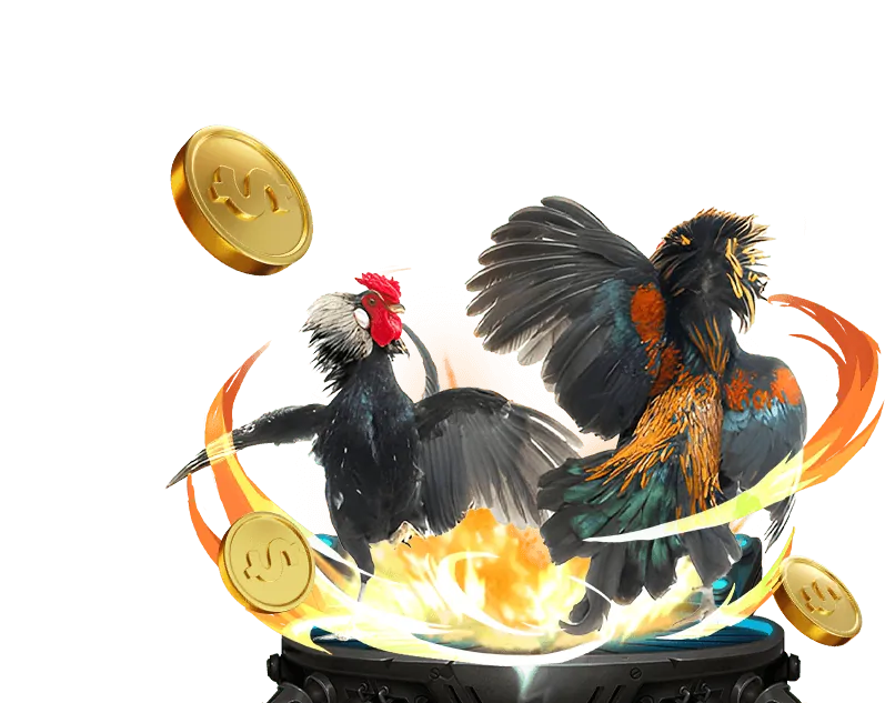 Cá Cược Thể Thao m.33win